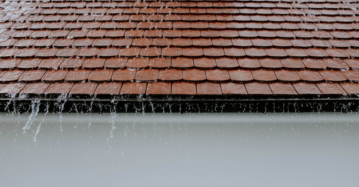 How much is the average roof replacement in Florida?